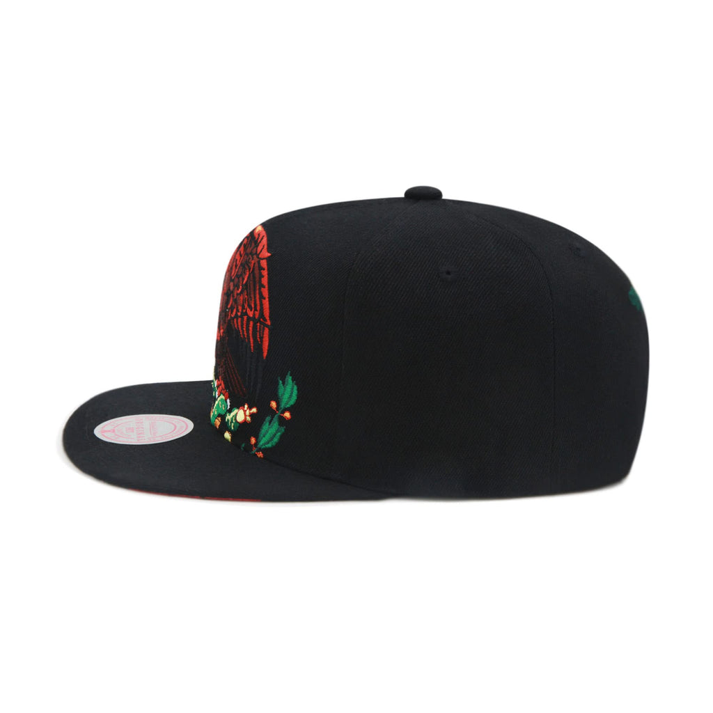 Mens Mitchell & Ness BRANDED CROPPED EAGLE SNAPBACK - MEXICAN FLAG