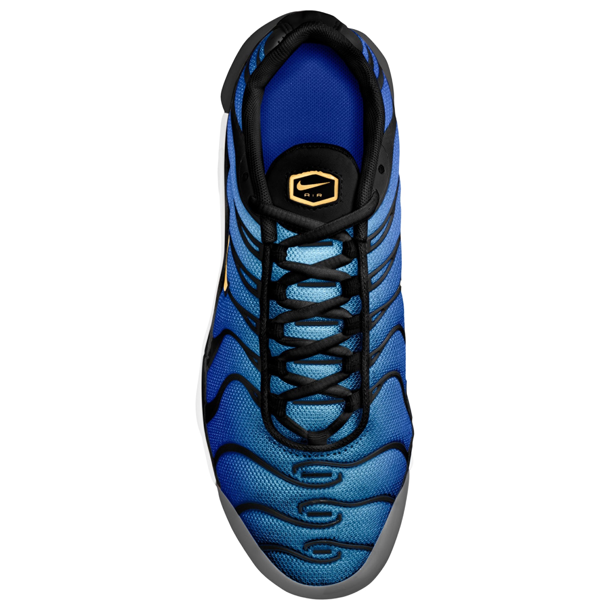 [CD0609-032] GRADE SCHOOL NIKE AIR MAX PLUS 'HYPER BLUE'