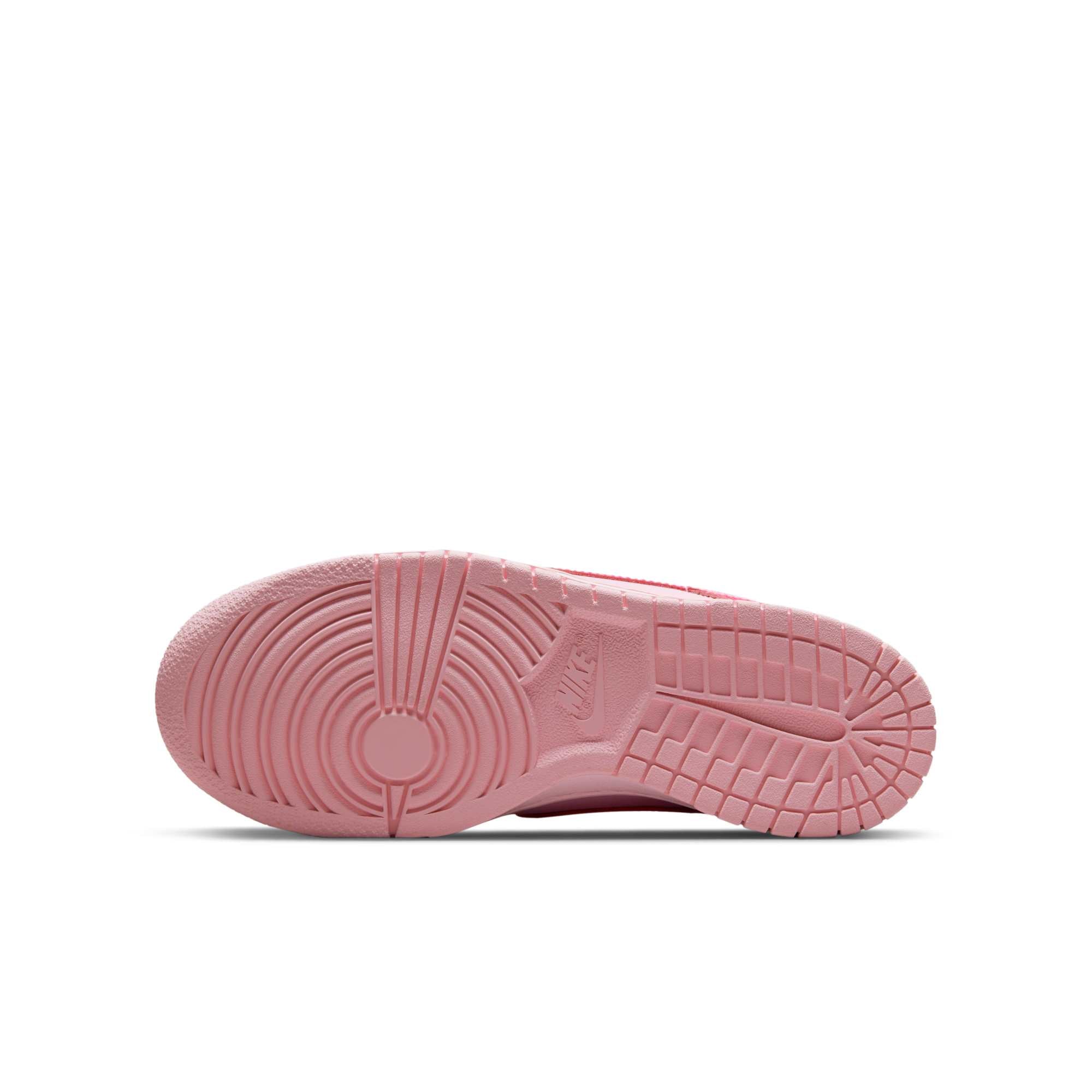 [DH9765-600] GRADE SCHOOL NIKE DUNK LOW