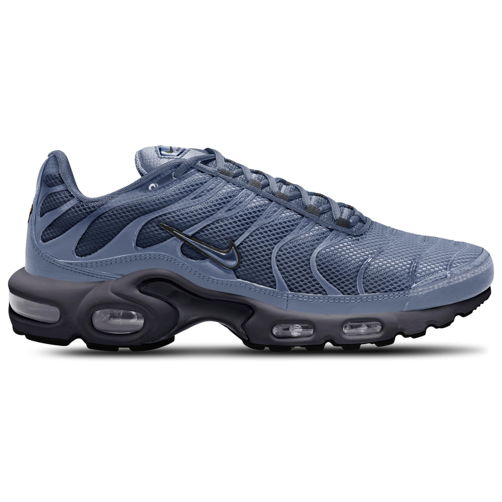 [DM0032-404] MENS NIKE AIR MAX PLUS 'WORLD INDIGO'