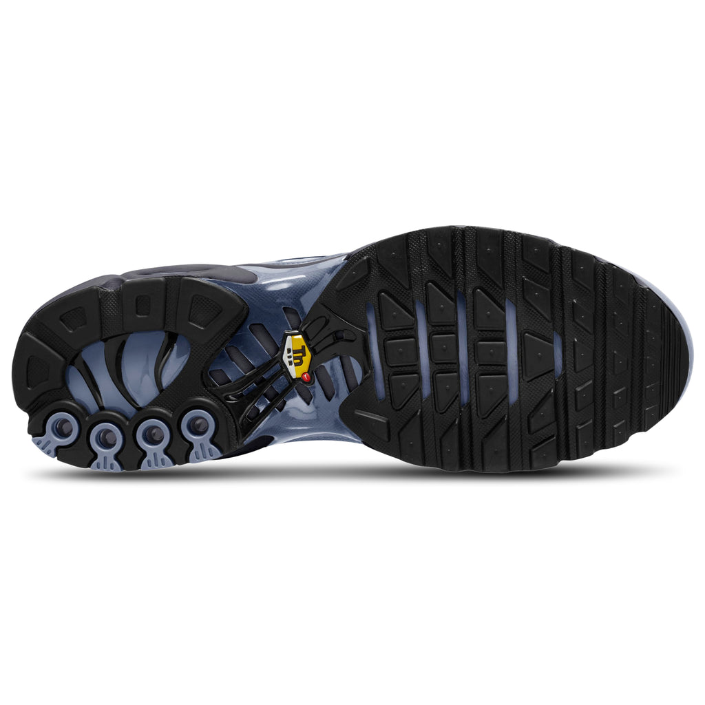 [DM0032-404] MENS NIKE AIR MAX PLUS 'WORLD INDIGO'