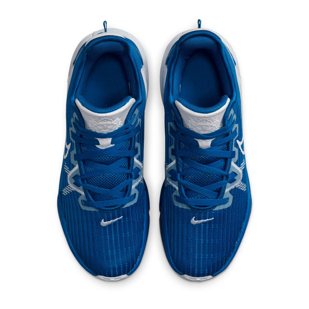 [DO9843-401] Mens Nike LEBRON WITNESS VI TB