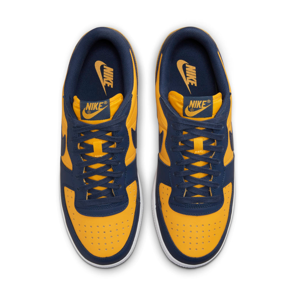 [FJ4206-700] Mens Nike TERMINATOR LOW