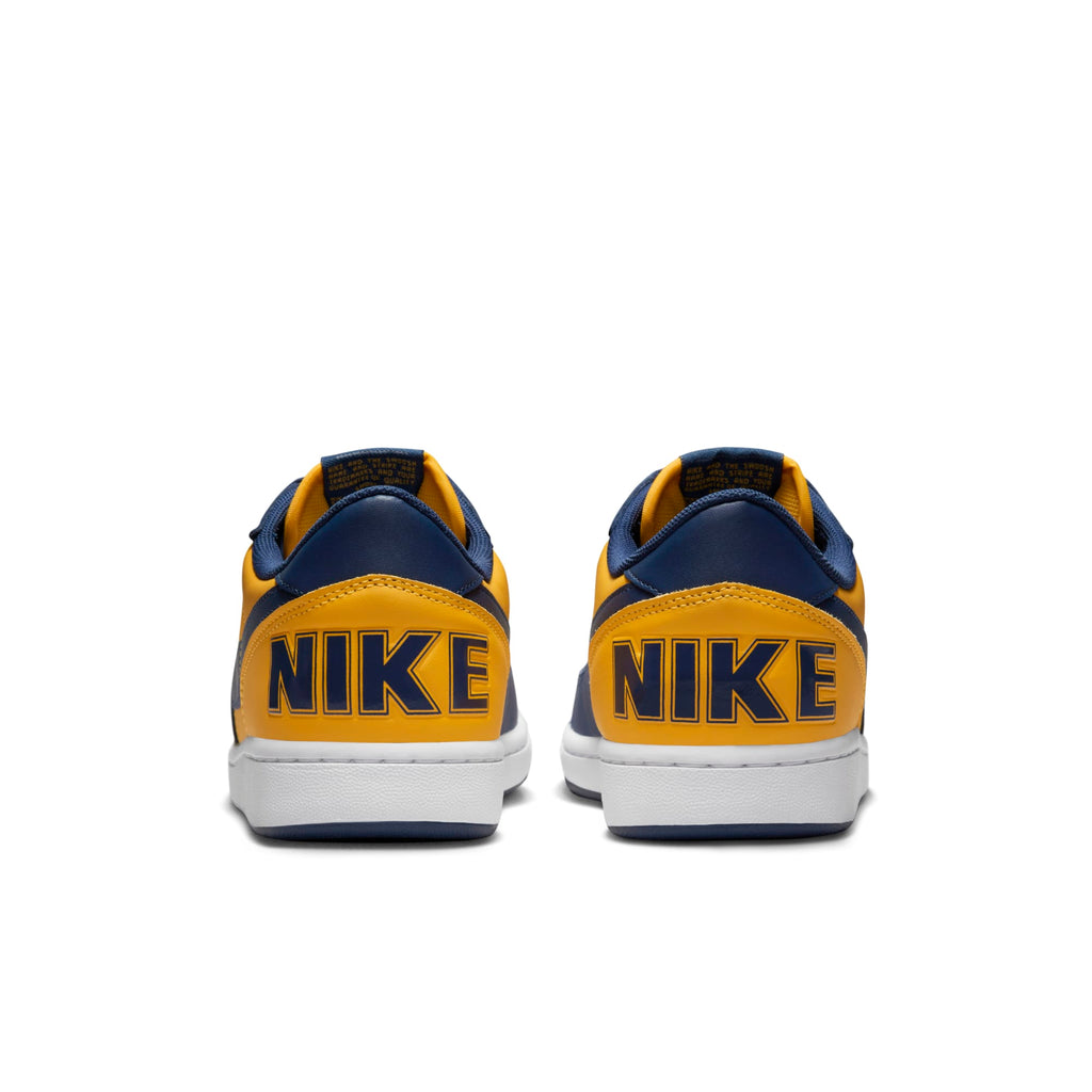 [FJ4206-700] Mens Nike TERMINATOR LOW