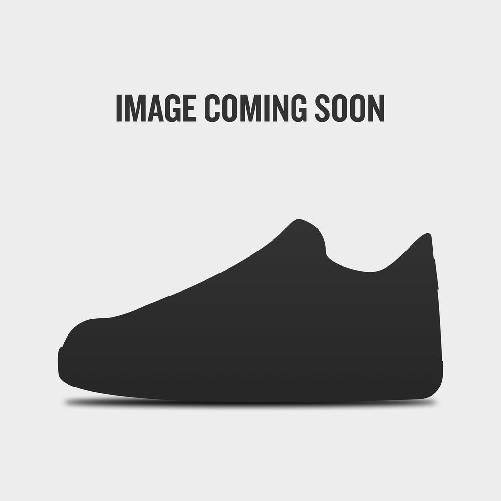 [IB3079-001] MENS NIKE DUNK LOW 'BLACK LIGHT SMOKE GREY'