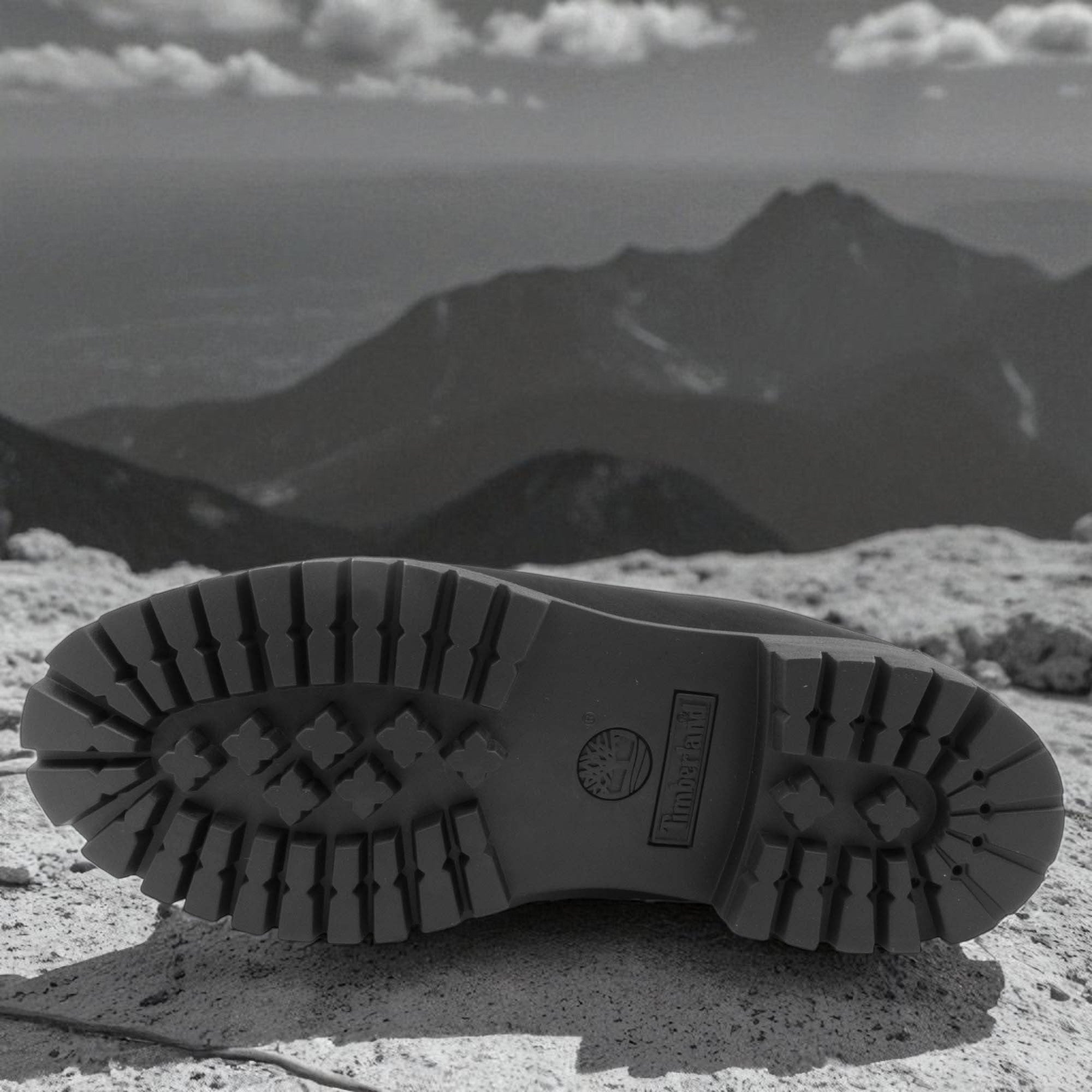 [TB010073001] Mens Timberland Premium 6" Waterproof Boot