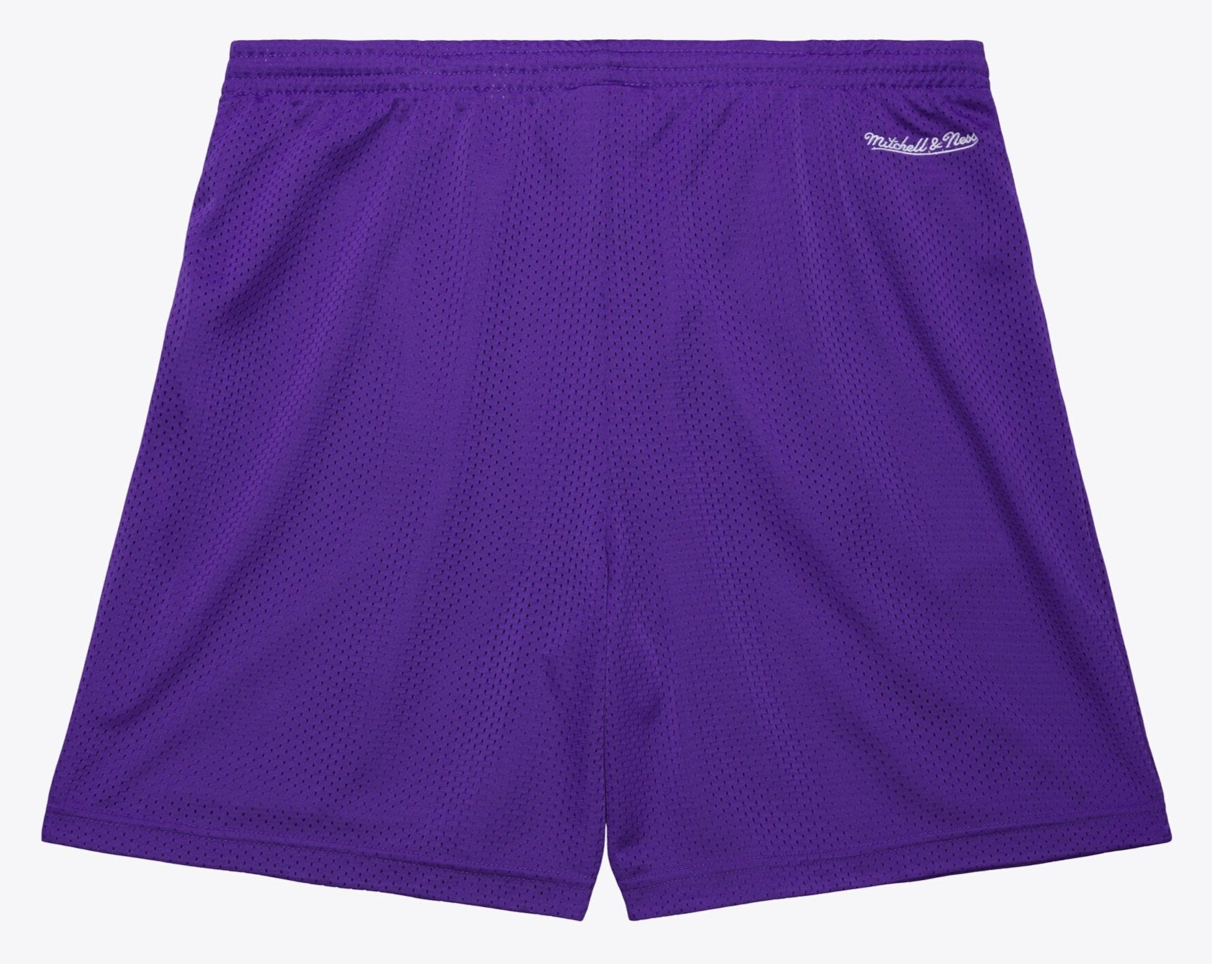 MENS MITCHELL & NESS NBA GAMEDAY MESH 7IN SHORTS VINTAGE LOGO RAPTORS