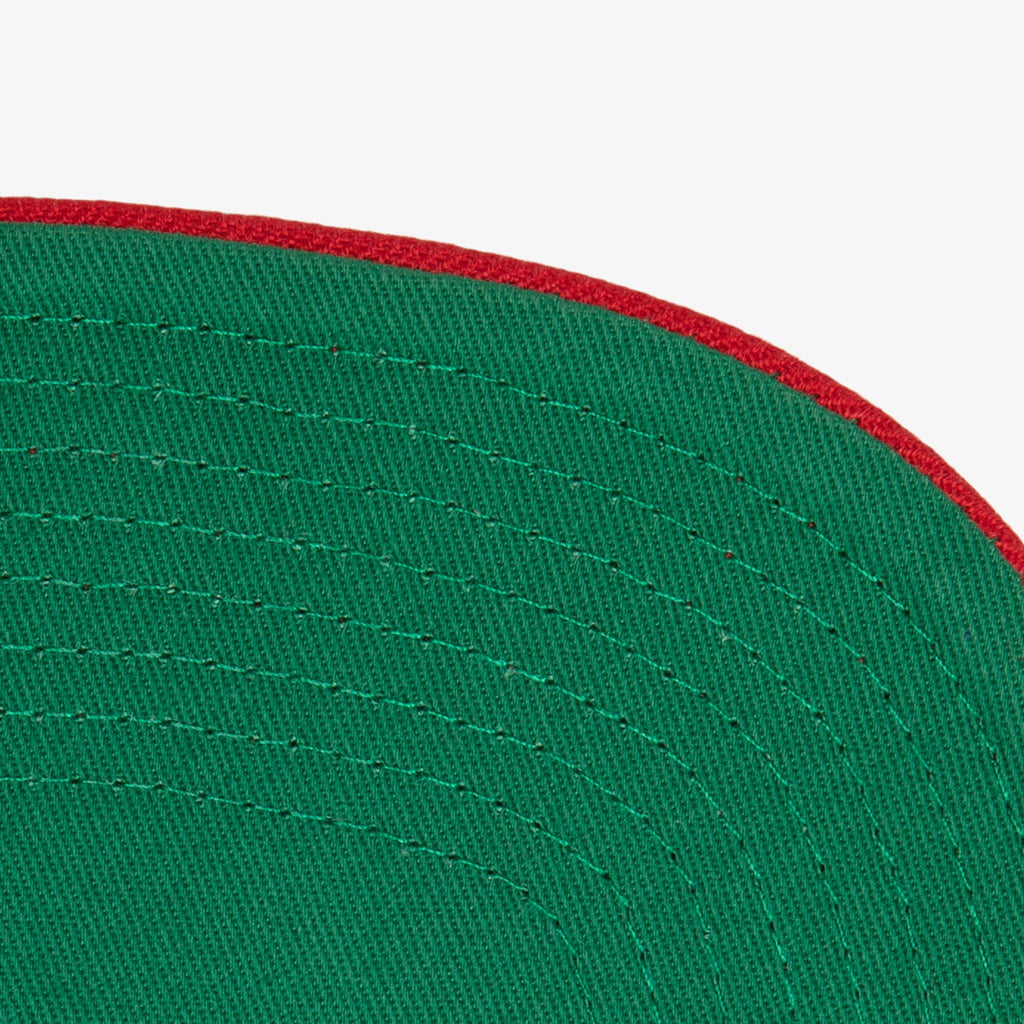 MENS MITCHELL & NESS NBA WHAT THE? SNAPBACK RAPTORS