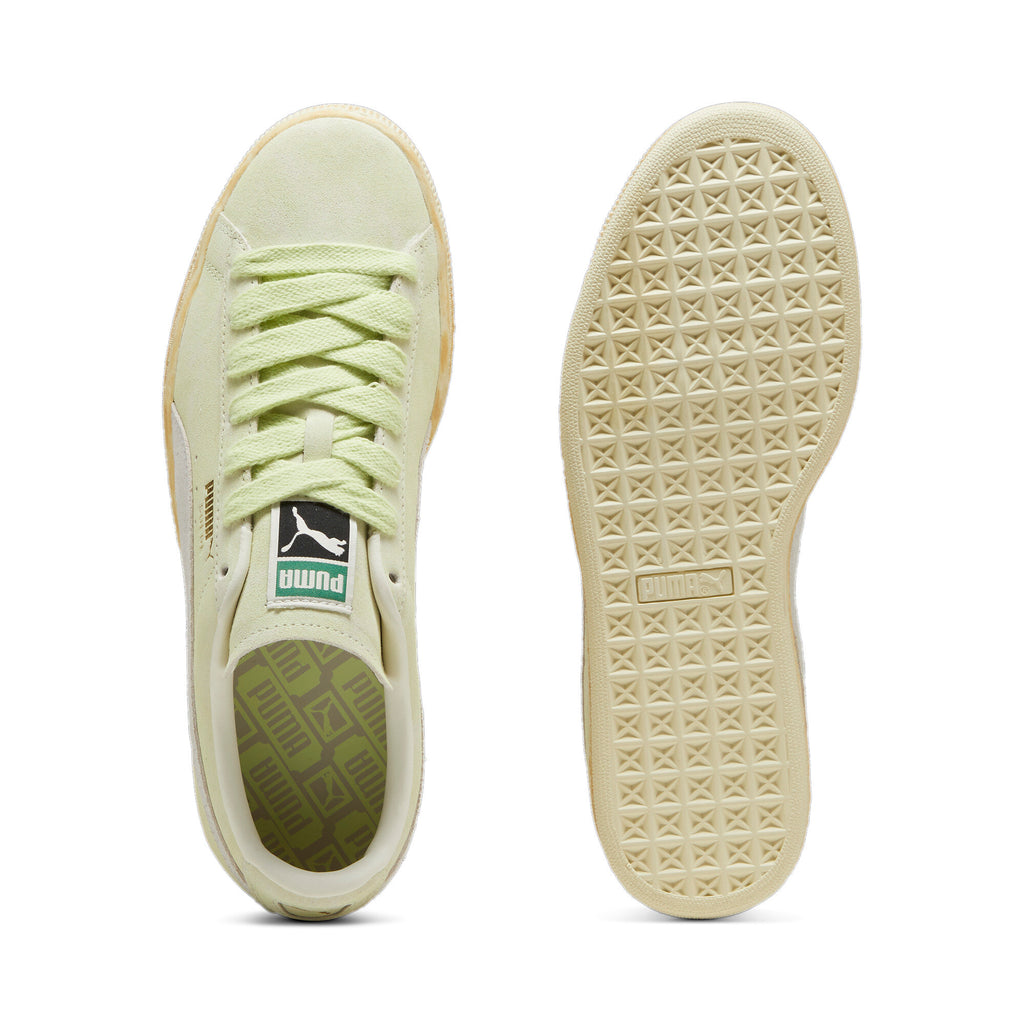 [399654-04] MENS PUMA SUEDE FADED
