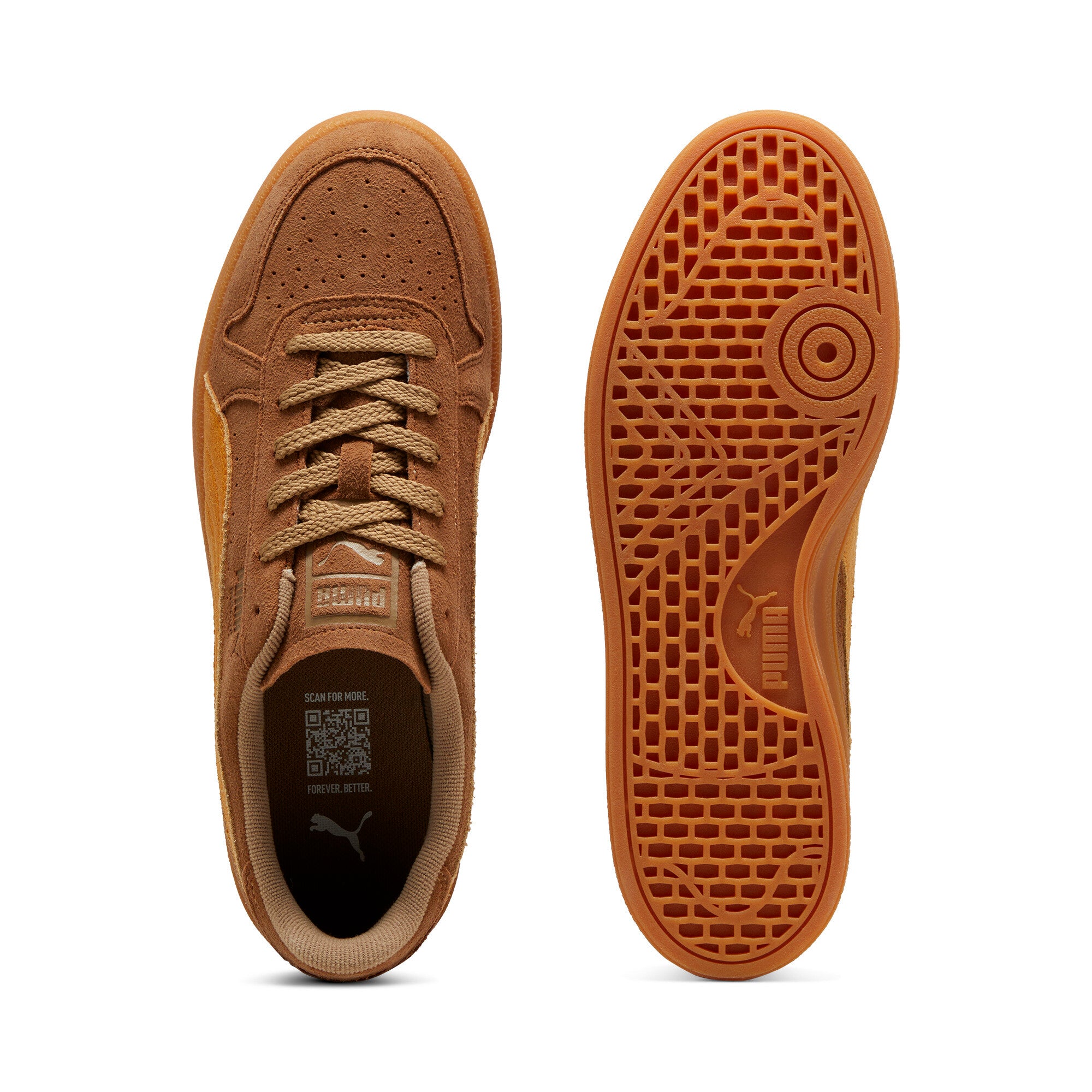 [398531-02] Mens Puma INDOOR R-SUEDE