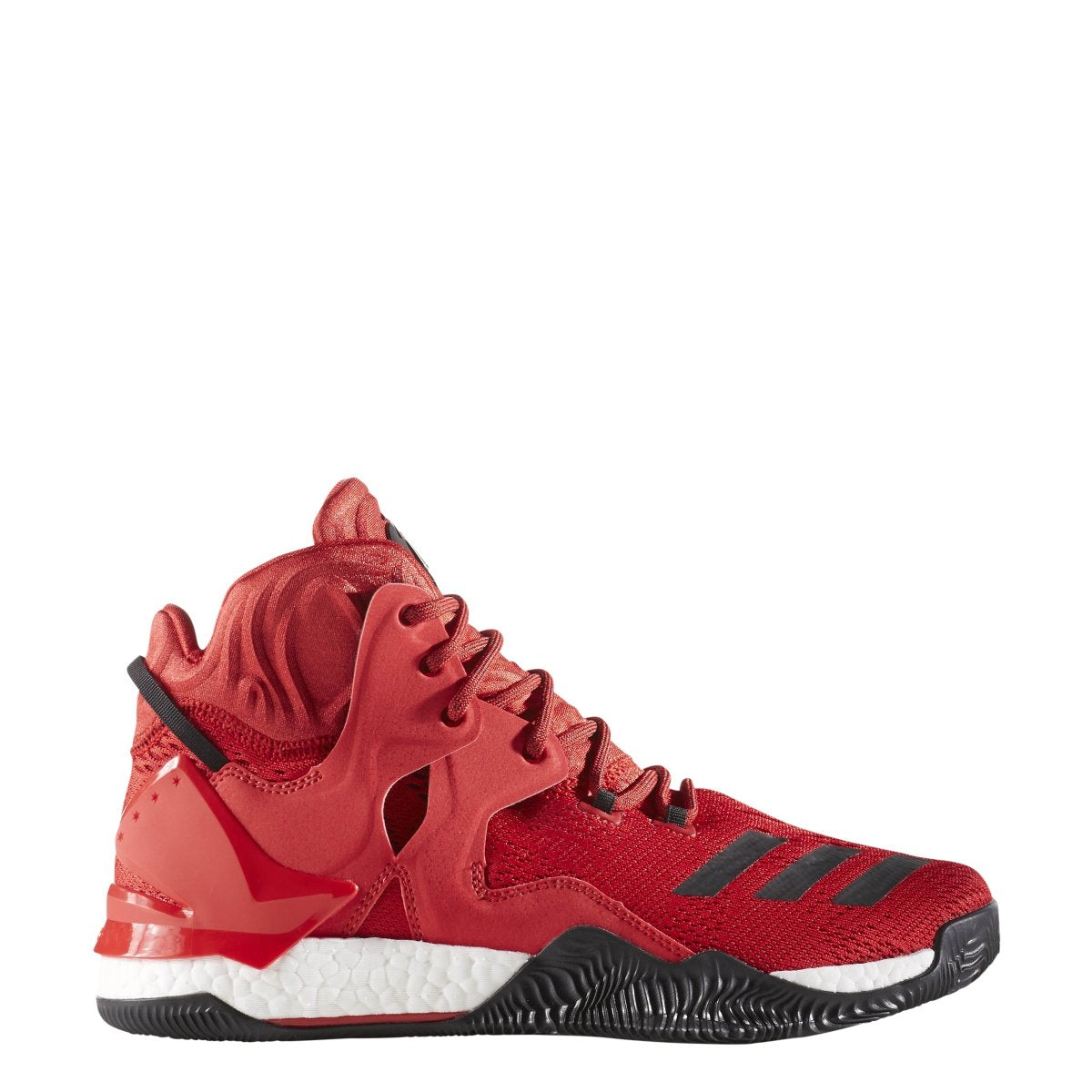 [B54136] D ROSE 7