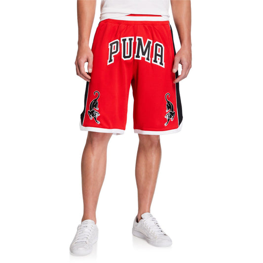 [579263-02] Mens Puma Last Dayz Mesh Shorts