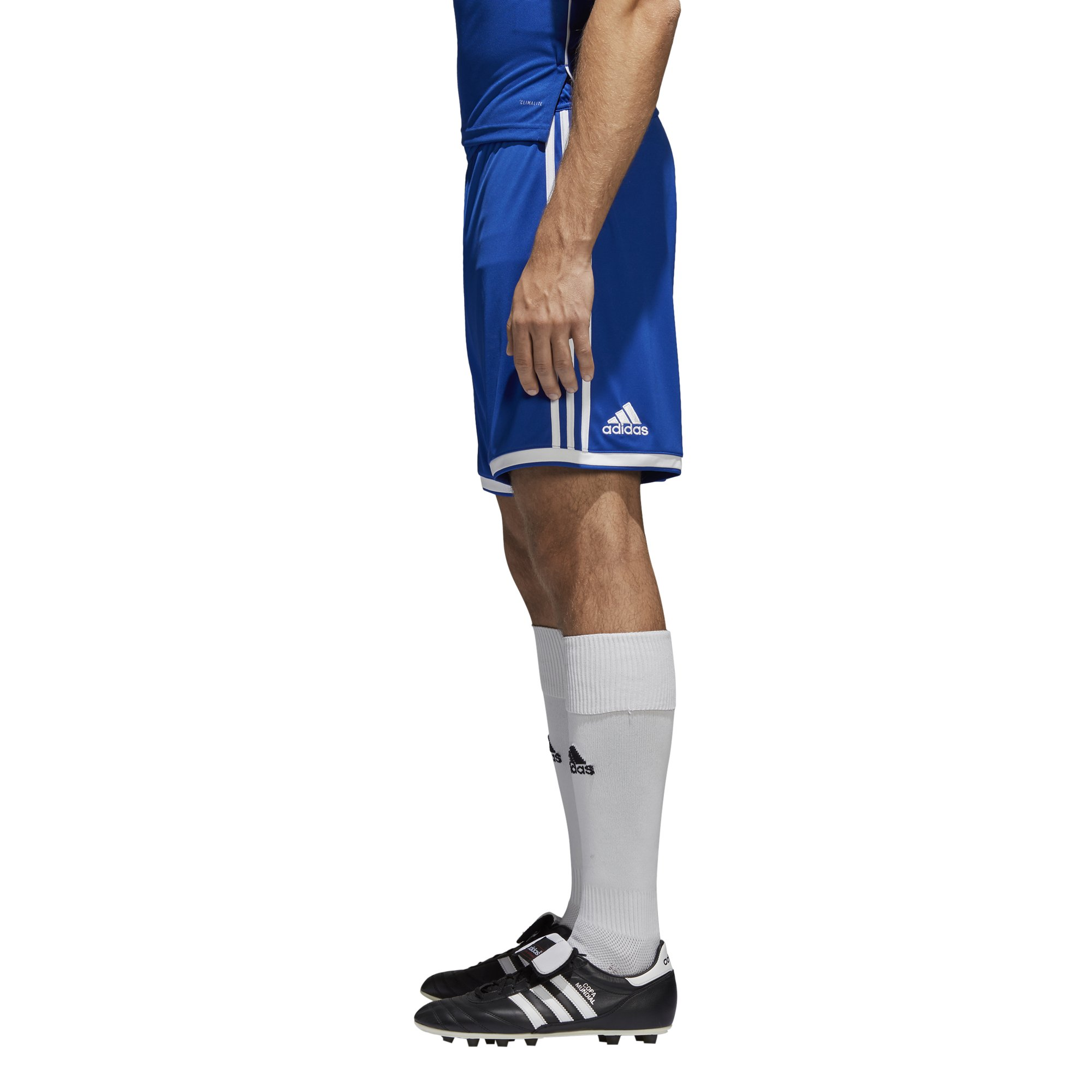 [CF9600] Mens Adidas Regista 18 Short