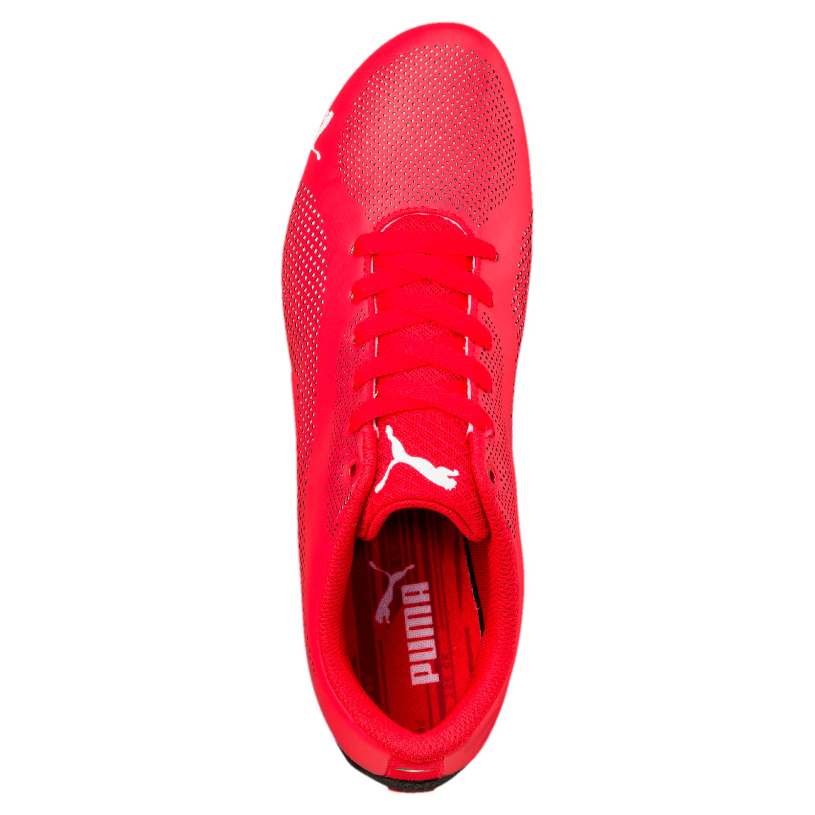 [305921-01] SF Drift Cat 5 Ultra