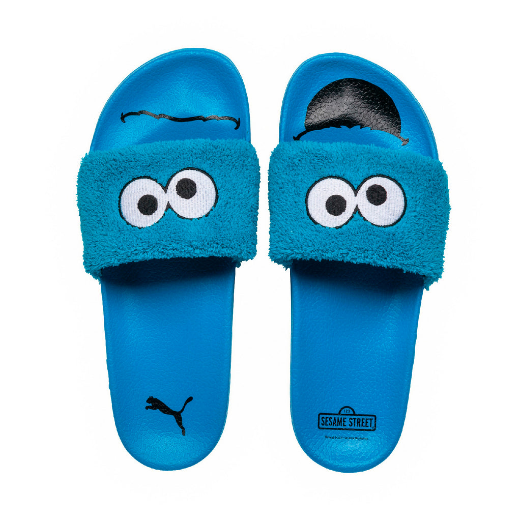 [362456-01] Leadcat Sesame Street