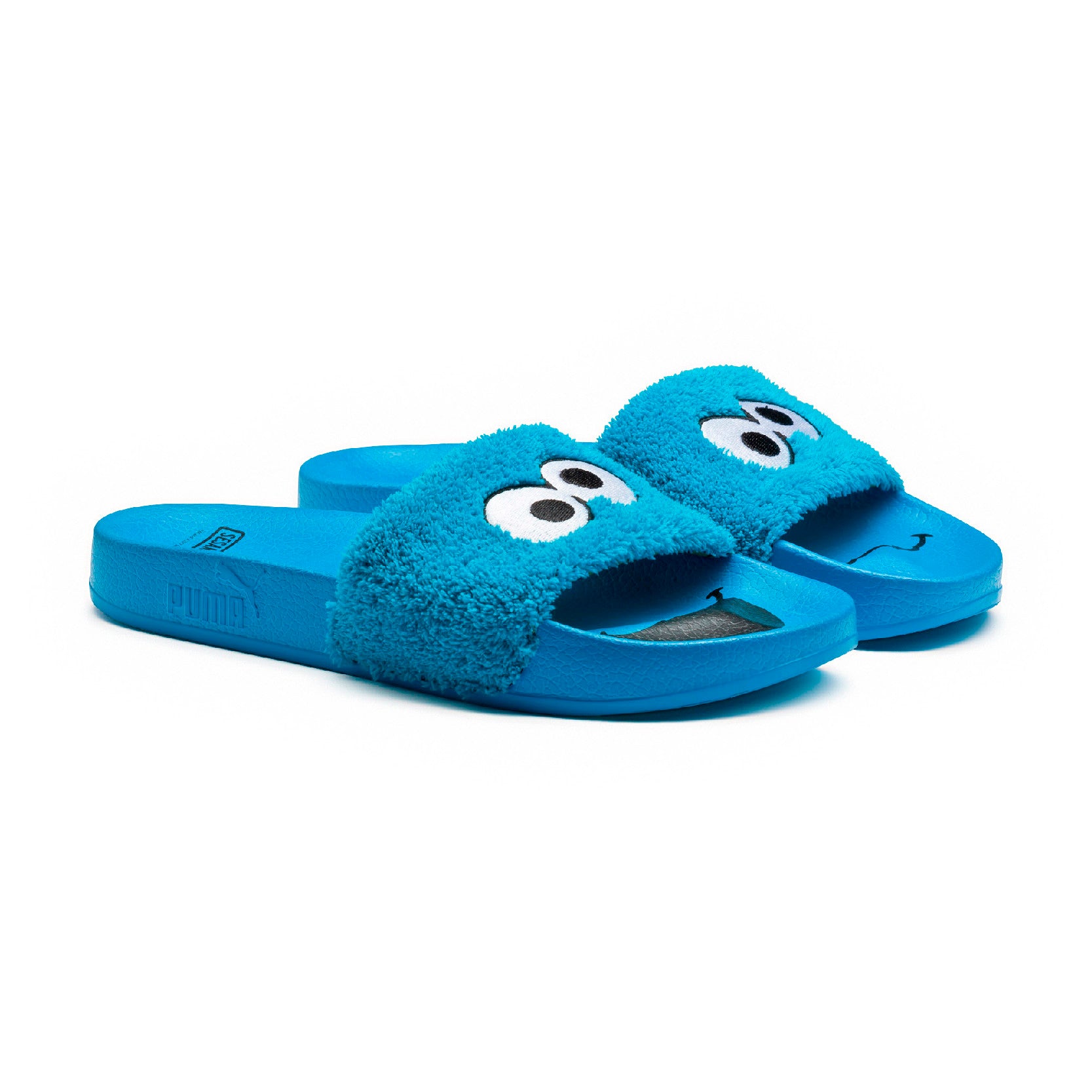 [362456-01] Leadcat Sesame Street