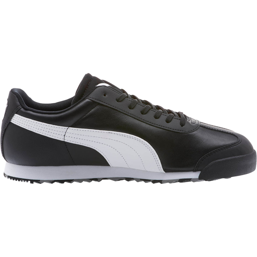 [306083-02] SF Roma