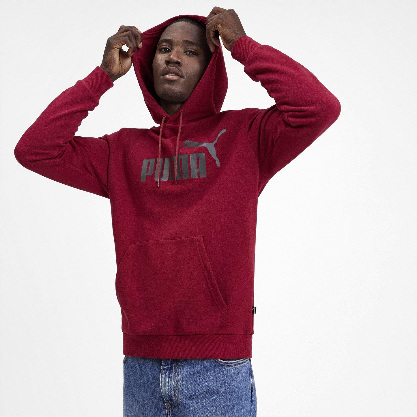 [580685-57] Mens Puma Essential Hoody TR Big Logo - sneakAR