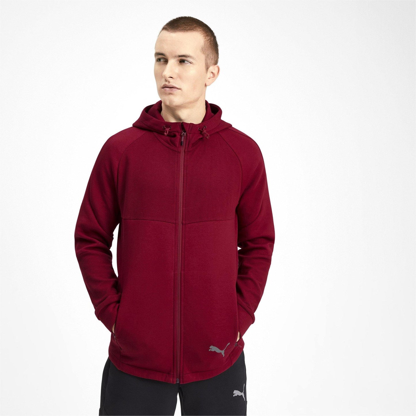 [580097-27] Mens Puma Evostripe Fullzip Hoody - sneakAR